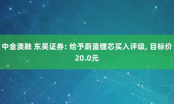 中金澳融 东吴证券: 给予蔚蓝锂芯买入评级, 目标价20.0元