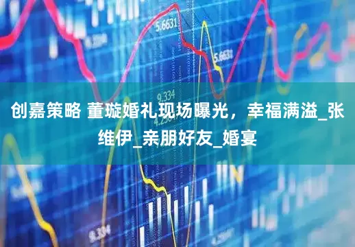 创嘉策略 董璇婚礼现场曝光，幸福满溢_张维伊_亲朋好友_婚宴