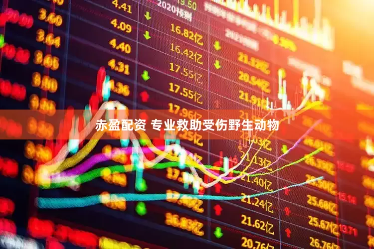 赤盈配资 专业救助受伤野生动物