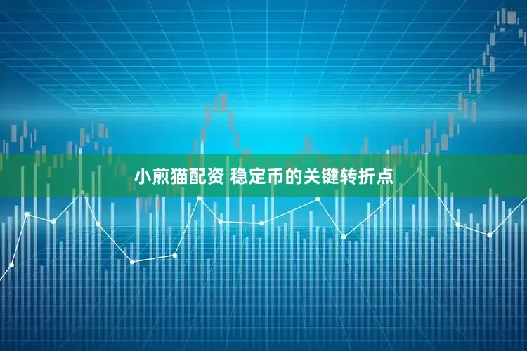 小煎猫配资 稳定币的关键转折点