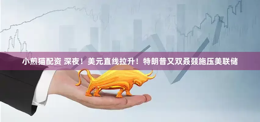 小煎猫配资 深夜！美元直线拉升！特朗普又双叒叕施压美联储