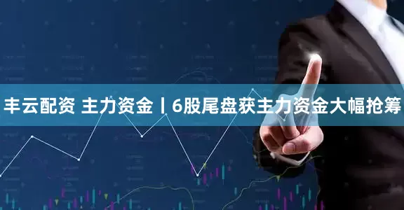 丰云配资 主力资金丨6股尾盘获主力资金大幅抢筹
